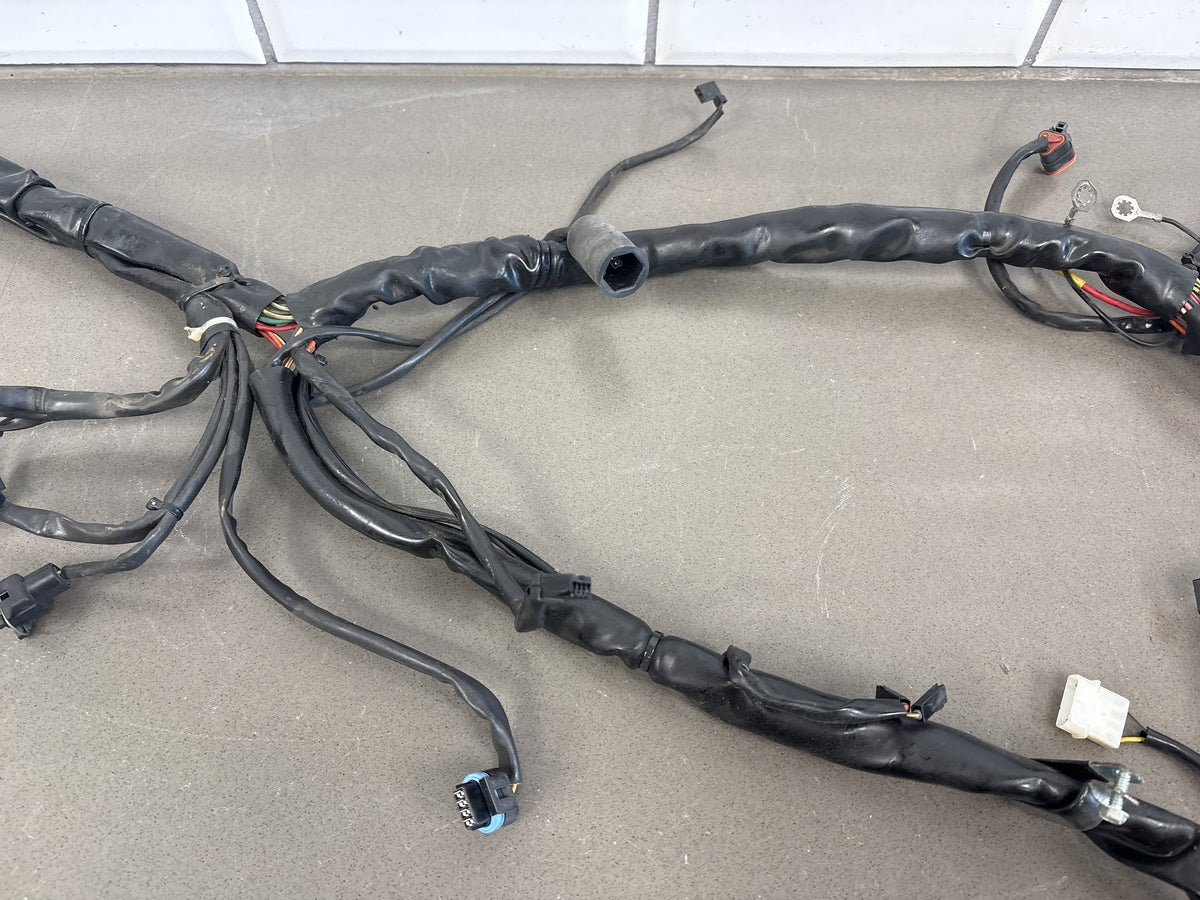 2003 Harley Road King Classic FLHRCI Main + EFI Wiring Harness OEM 70245-03