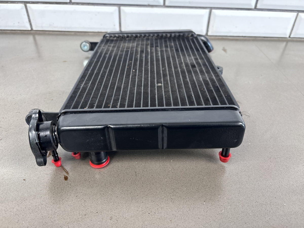 1999-2007 Yamaha YZF600R 3K Mile Radiator With Cap Engine Cooling Black OEM