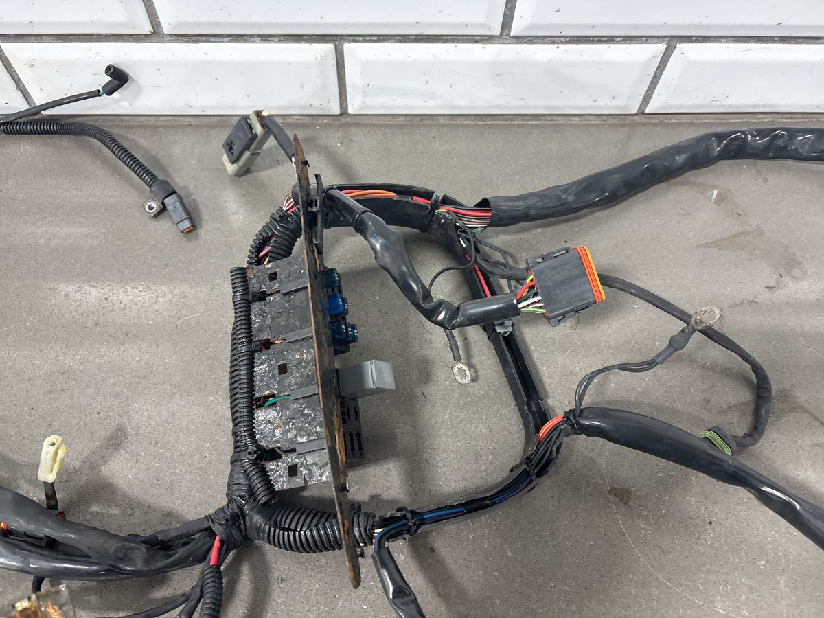 2004 Harley Heritage Softail Classic FLSTC Main Wiring Harness Carb 70216-04A