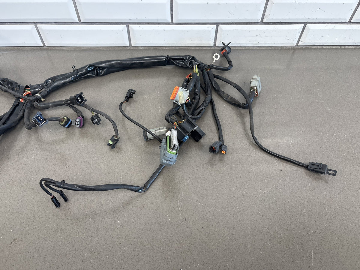 2003 Harley Road King Classic FLHRCI Main + EFI Wiring Harness OEM 70245-03