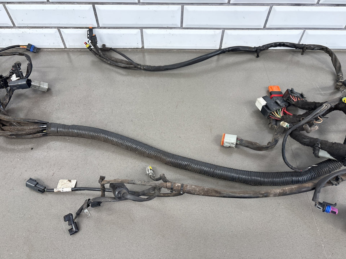 2006 Dyna Super Glide FXDI FXDCI FXDBI FXDLI Harley Main Wiring Harness 69602-06