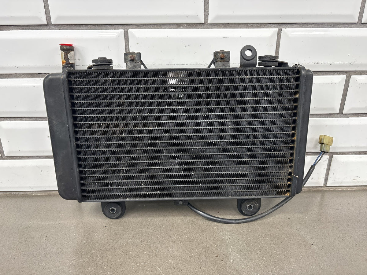 2000 Triumph Tiger 900 T709 Radiator OEM T2100430