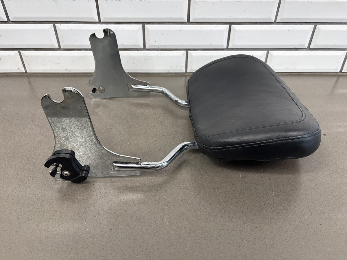 1997-2008 Harley Touring FLHR FLHT FLTR Detachable Sissy Bar Pad Docking Kit OEM