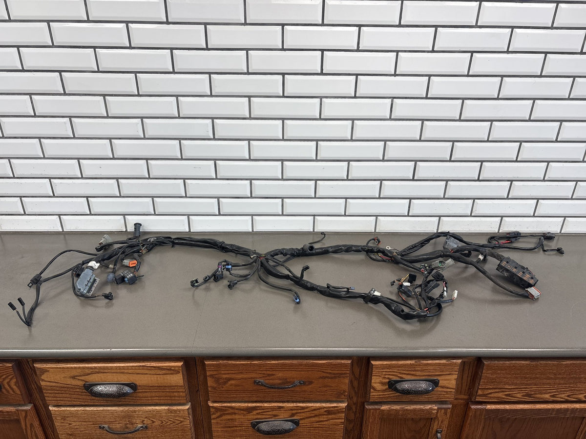 2003 Harley Road King Classic FLHRCI Main + EFI Wiring Harness OEM 70245-03