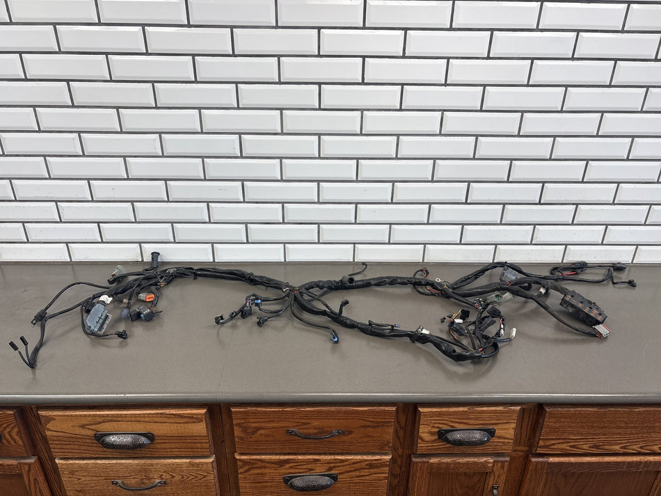 2003 Harley Road King Classic FLHRCI Main + EFI Wiring Harness OEM 70245-03