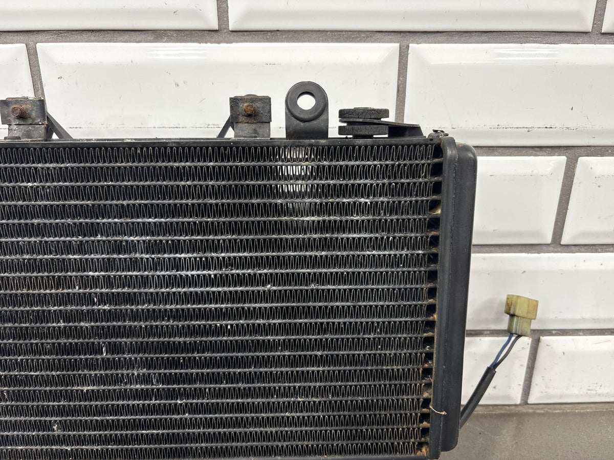 2000 Triumph Tiger 900 T709 Radiator OEM T2100430