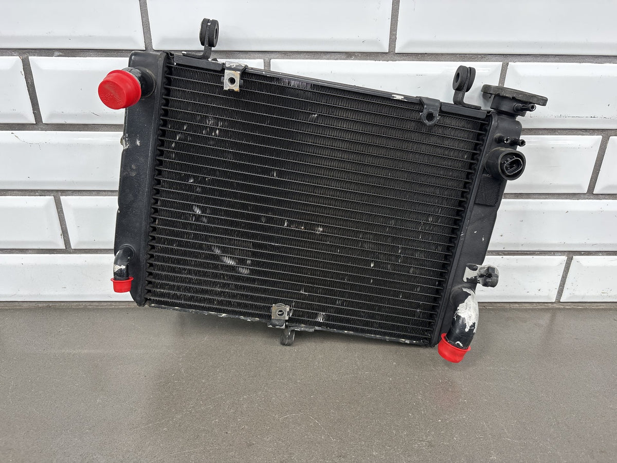1999-2002 Yamaha YZF-R6 YZFR6 5EB Aluminum Radiator Cooling Core OEM