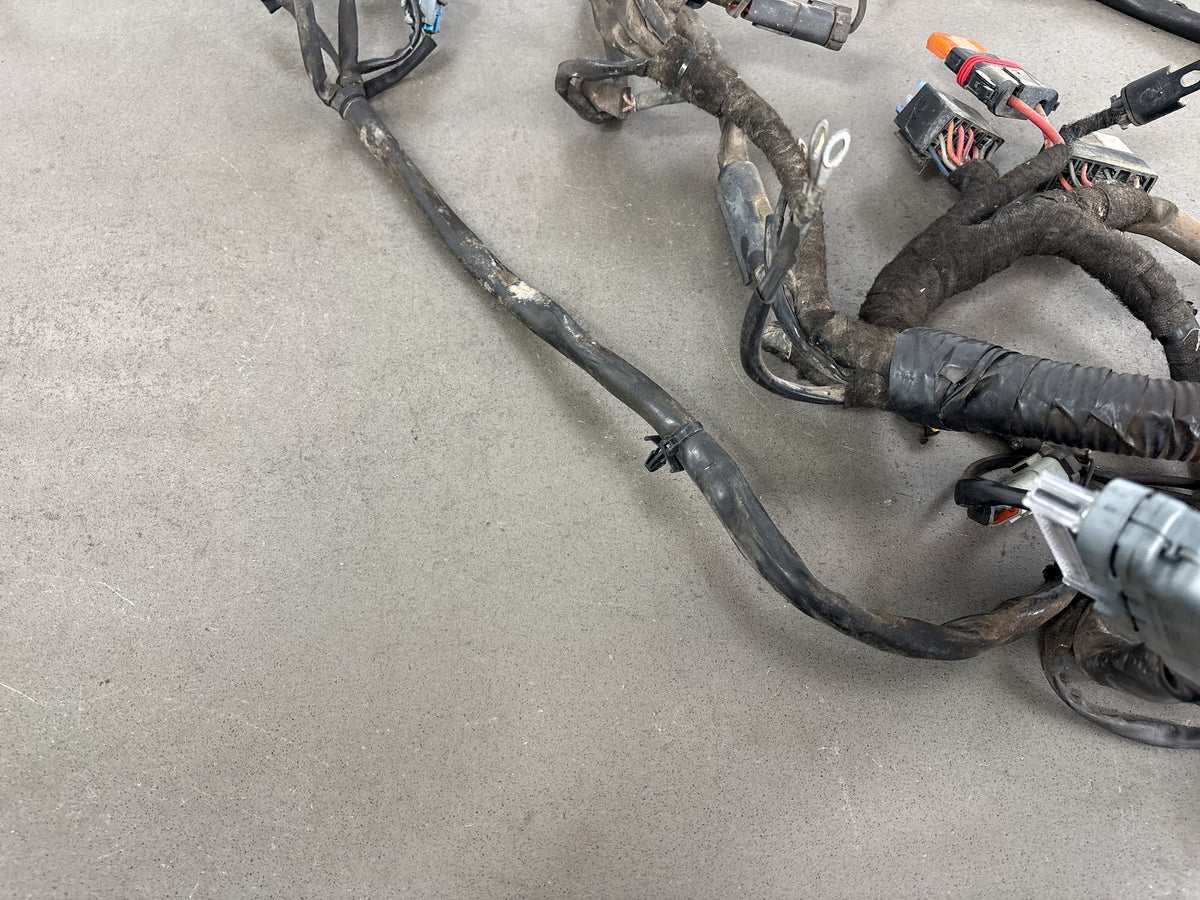 2006 Dyna Super Glide FXDI FXDCI FXDBI FXDLI Harley Main Wiring Harness 69602-06