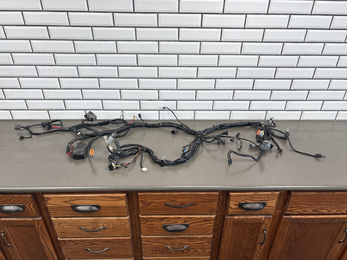 2003 Harley Road King Classic FLHRCI Main + EFI Wiring Harness OEM 70245-03