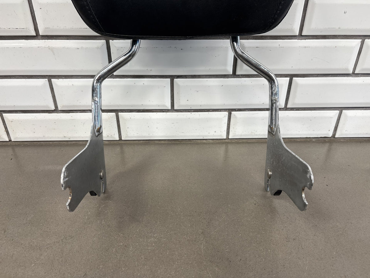 1997-2008 Harley Touring FLHR FLHT FLTR Detachable Sissy Bar Pad Docking Kit OEM