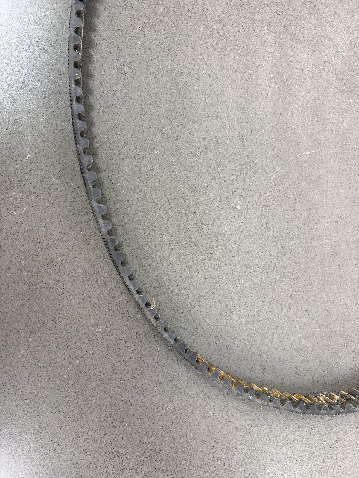 2000-2006 Harley Dyna FXD FXDL FXDWG FXDB Rear Drive Belt 133T 40015-00B OEM