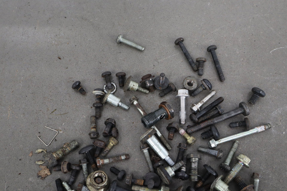 2000 Triumph Tiger 900 Hardware Kit Nuts Bolts OEM