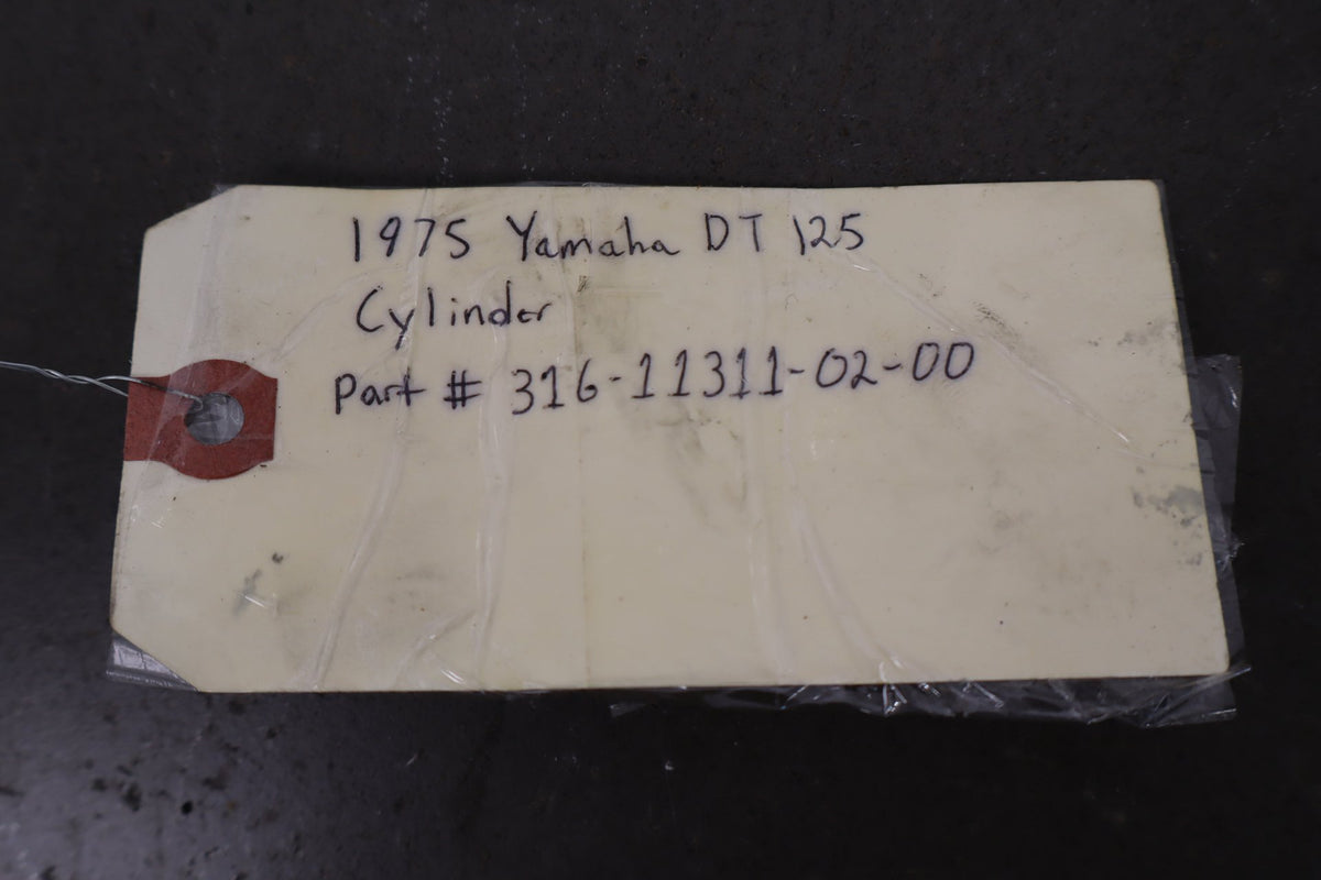 1974-1976 Yamaha DT125 OEM Cylinder Jug Top End 316-11311-02-00