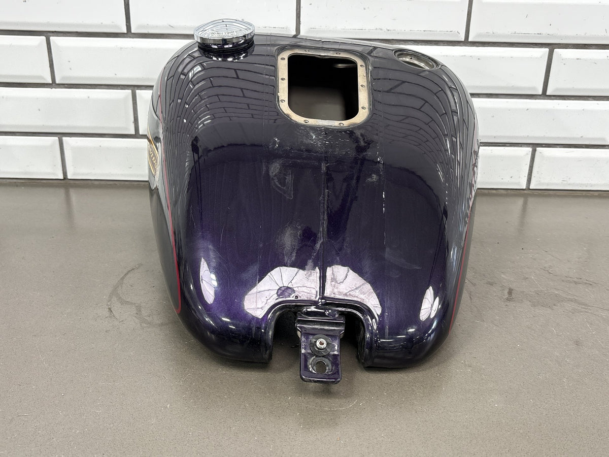 01-05 Harley Heritage Softail FLSTC FLSTCI Fuel Tank 5 Gallon OEM 61625-01D Dent