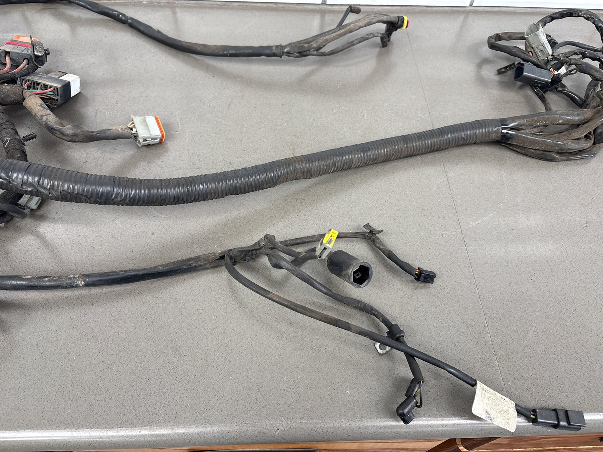 2006 Dyna Super Glide FXDI FXDCI FXDBI FXDLI Harley Main Wiring Harness 69602-06