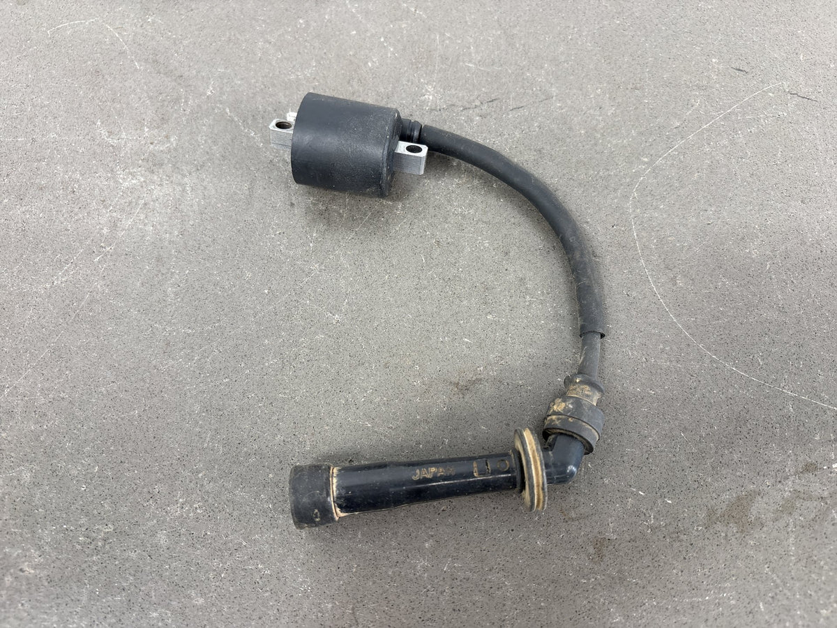 2000-2004 Suzuki DRZ400 DRZ400E Ignition Coil with Spark Plug Cap OEM