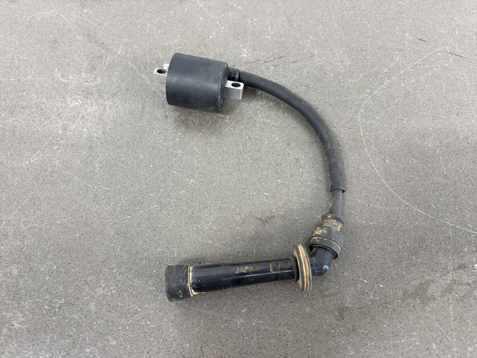 2000-2004 Suzuki DRZ400 DRZ400E Ignition Coil with Spark Plug Cap OEM