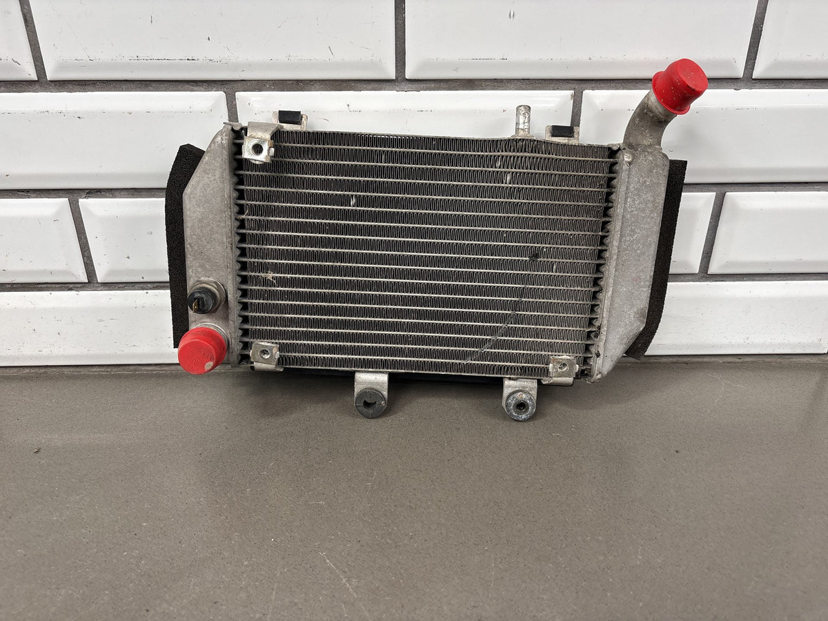 2002 Honda Interceptor 800 VFR800 Left Radiator With Grille Guard OEM