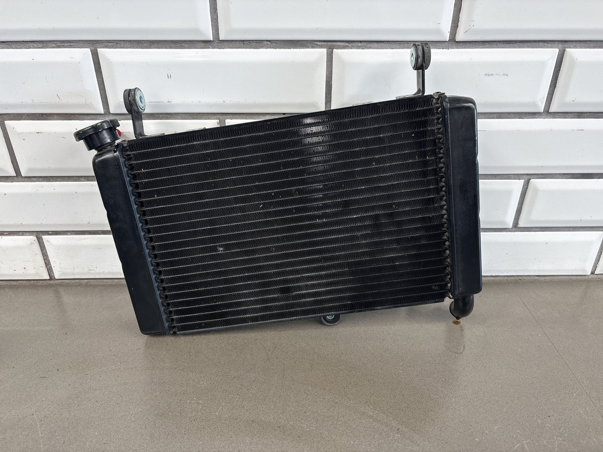 1999-2007 Yamaha YZF600R 3K Mile Radiator With Cap Engine Cooling Black OEM