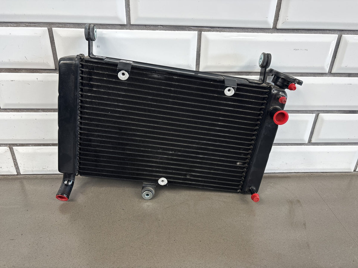 1999-2007 Yamaha YZF600R 3K Mile Radiator With Cap Engine Cooling Black OEM