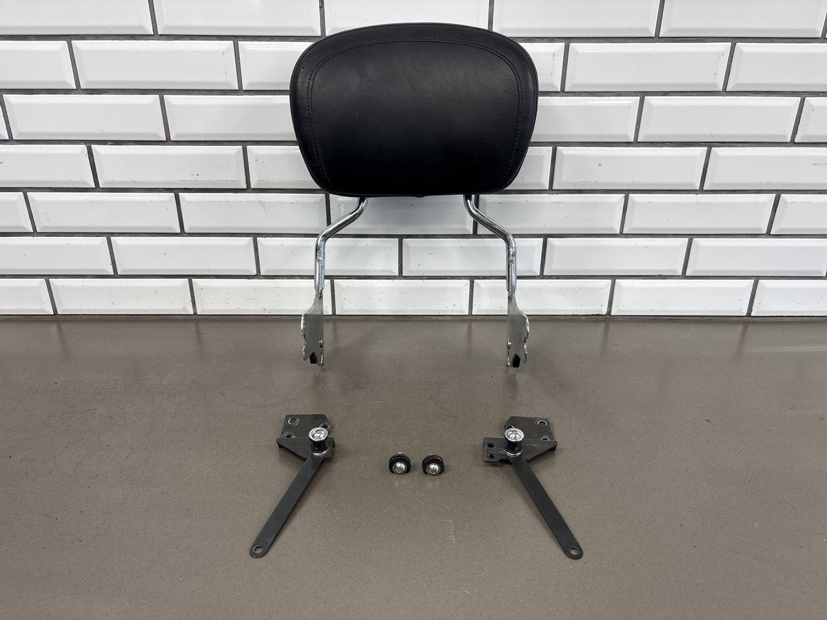 1997-2008 Harley Touring FLHR FLHT FLTR Detachable Sissy Bar Pad Docking Kit OEM