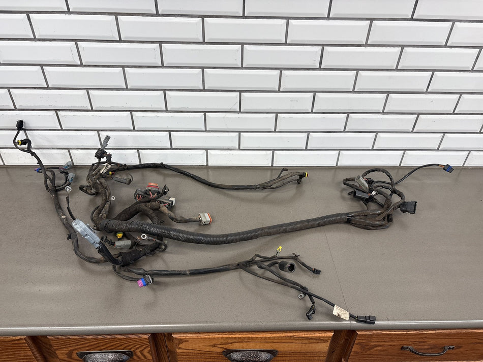 2006 Dyna Super Glide FXDI FXDCI FXDBI FXDLI Harley Main Wiring Harness 69602-06