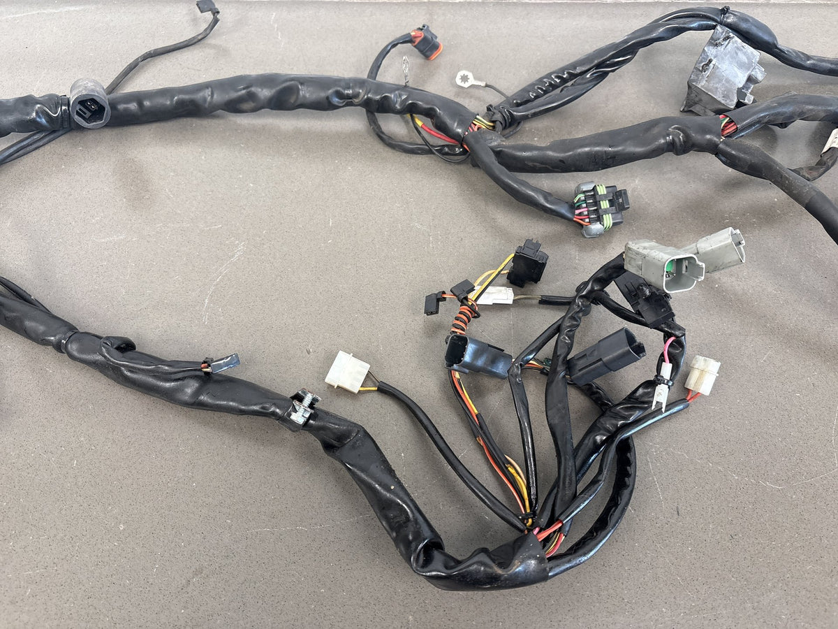 2003 Harley Road King Classic FLHRCI Main + EFI Wiring Harness OEM 70245-03