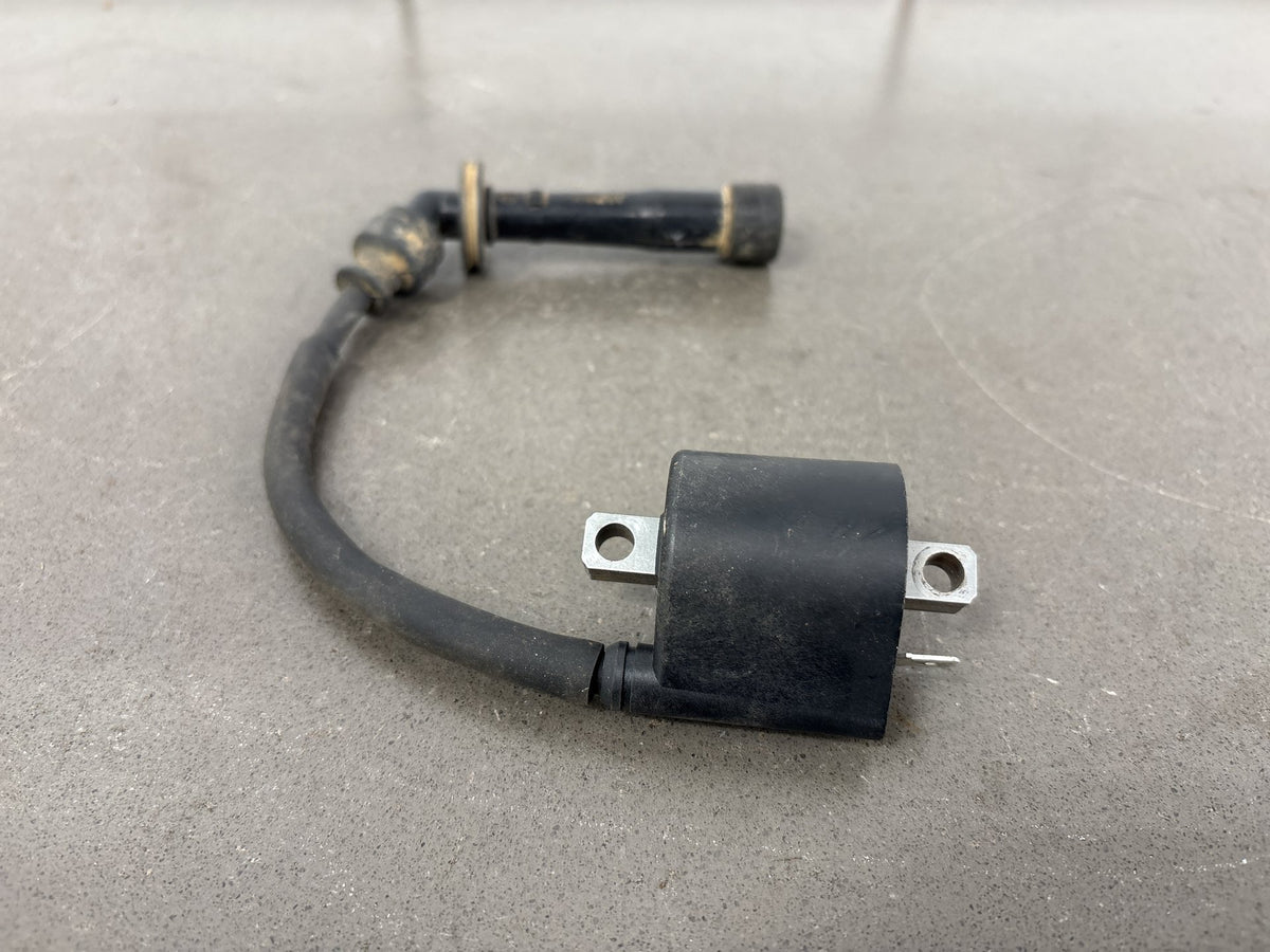 2000-2004 Suzuki DRZ400 DRZ400E Ignition Coil with Spark Plug Cap OEM