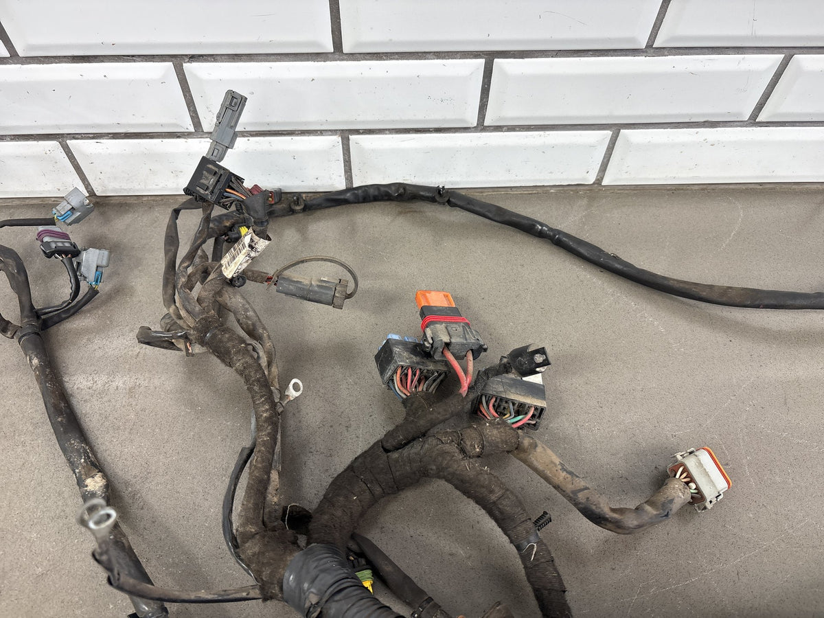 2006 Dyna Super Glide FXDI FXDCI FXDBI FXDLI Harley Main Wiring Harness 69602-06